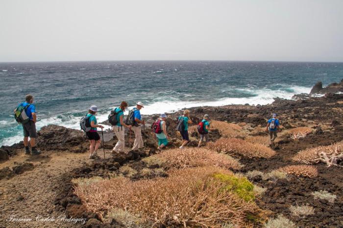 Piso Nuevo En El Puertito De Gueimar Al Lado Del Mar Realizamos Servicio De Excursiones Con Guia بويرتيتو دو غويمار المظهر الخارجي الصورة